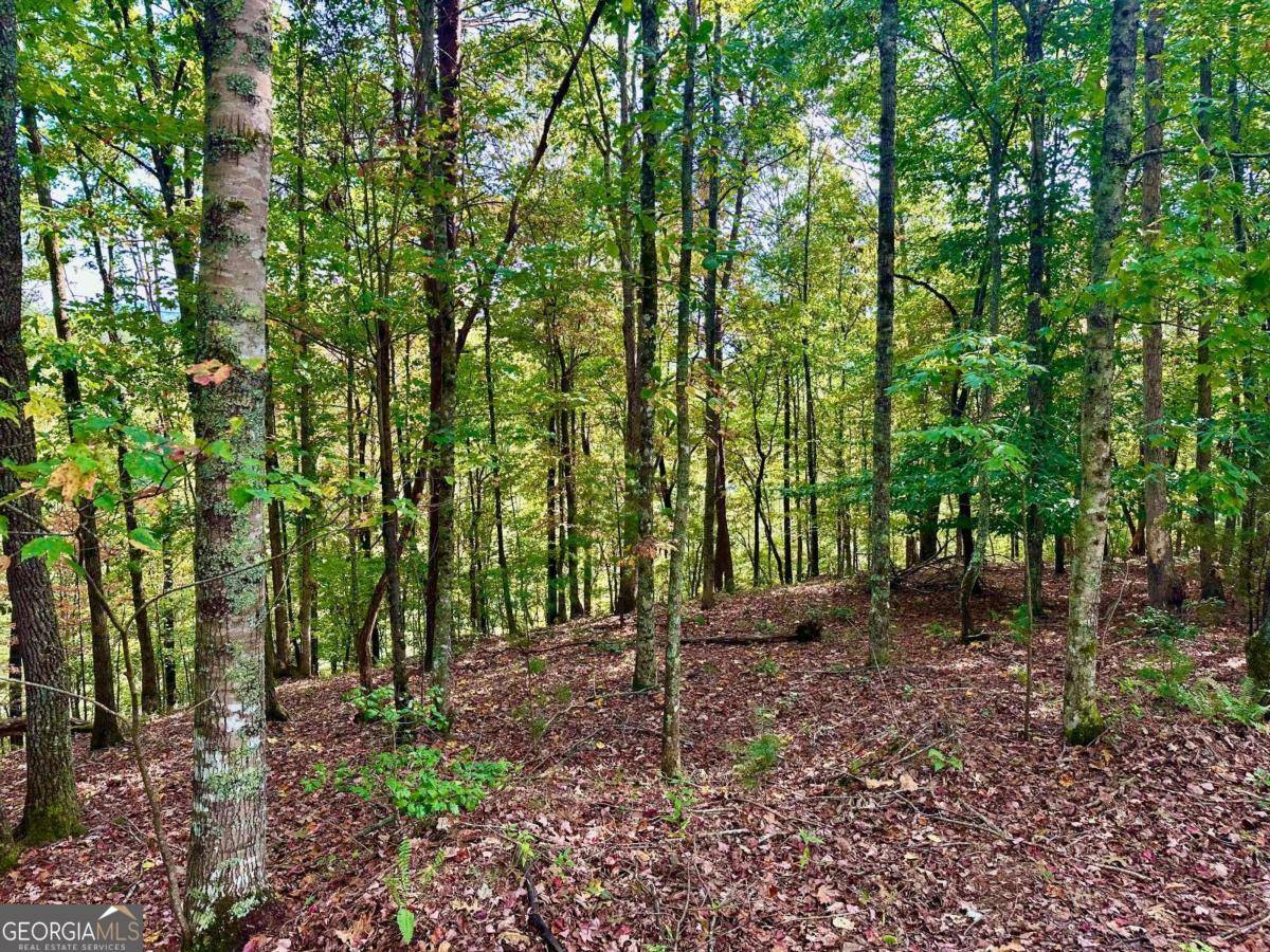 Warne, NC 28909,TRACT 1 Willow RDG