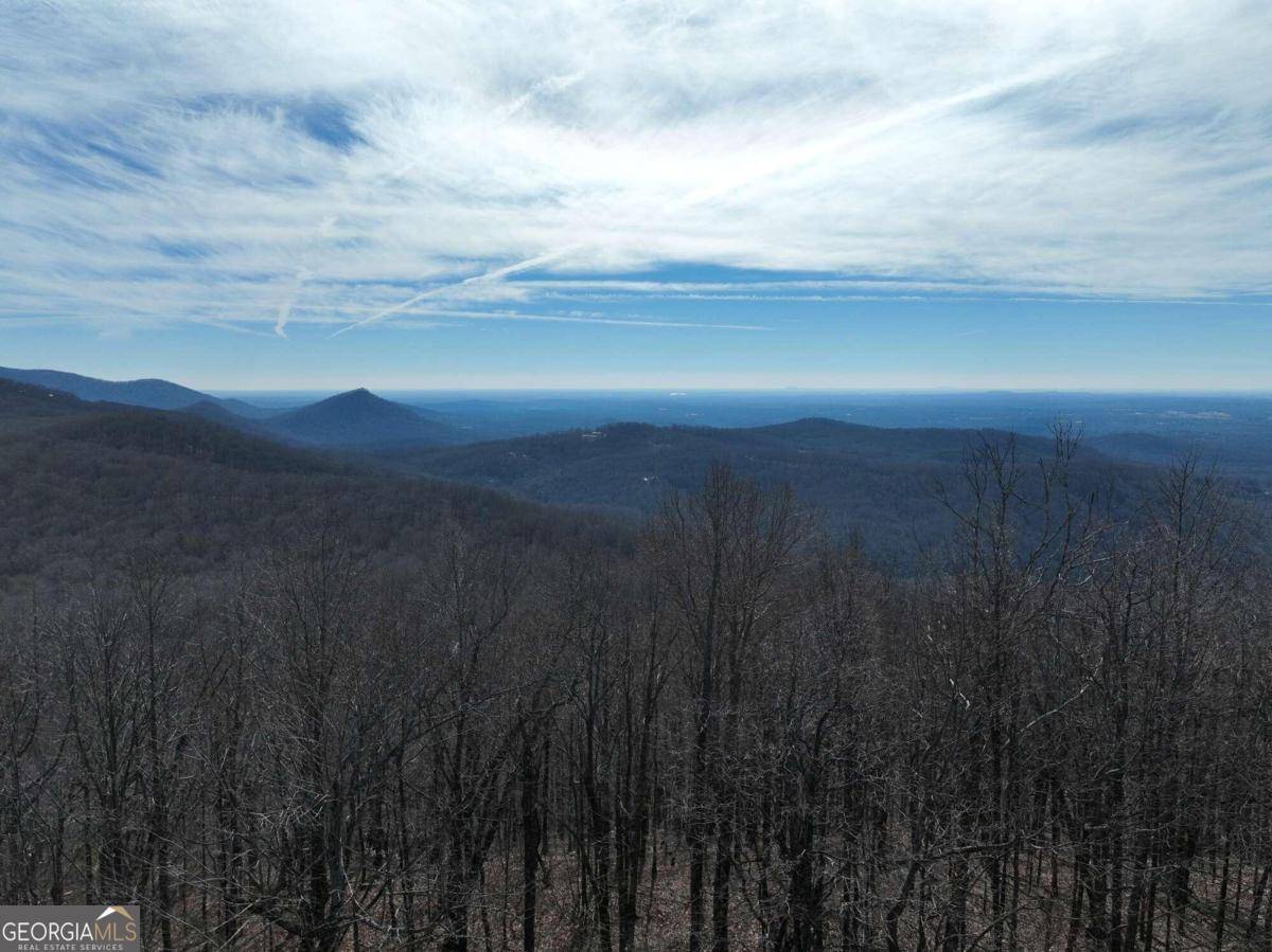 Ellijay, GA 30536,256 Blood Root