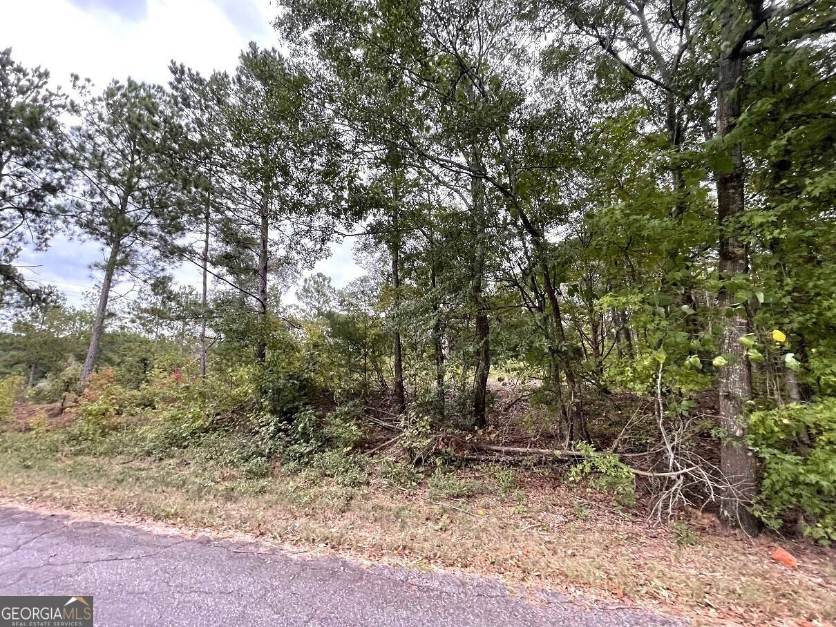 Bowman, GA 30624,384 Cherokee Drive