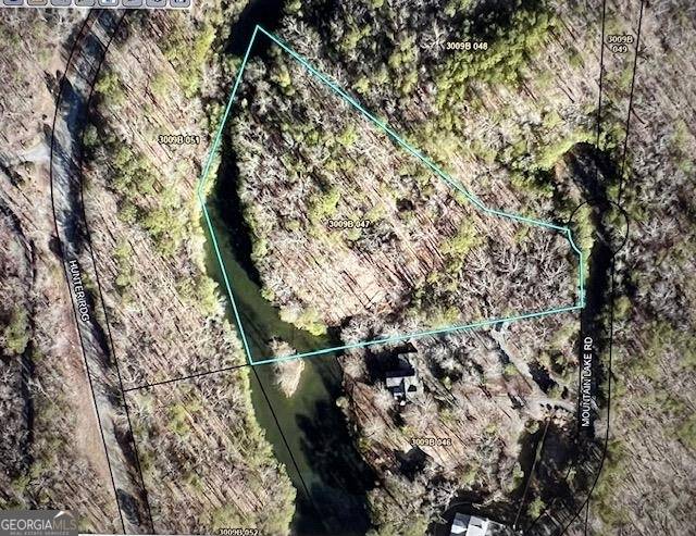 Ellijay, GA 30540,LT 10 Mountain Lake RD