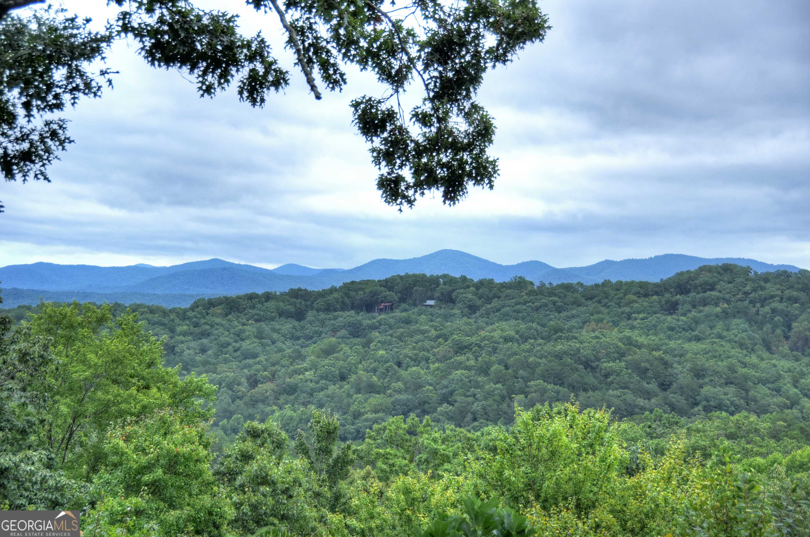 Blue Ridge, GA 30513,205 Eagles Nest Mtn RD