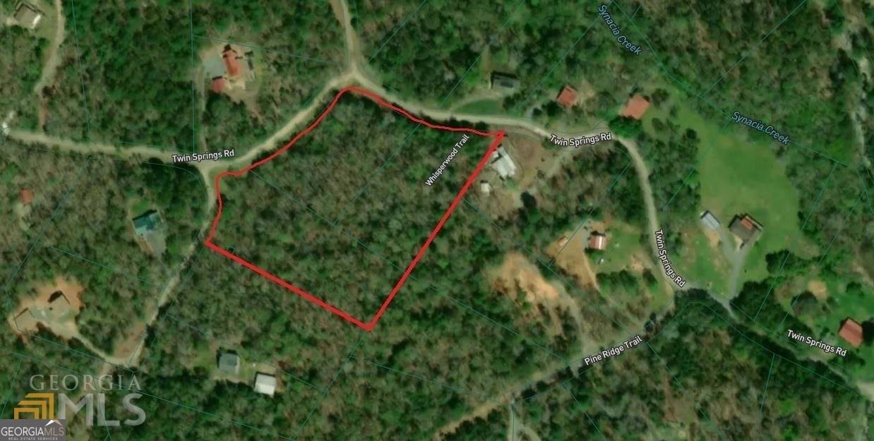 Mineral Bluff, GA 30559,0 Twin Springs RD
