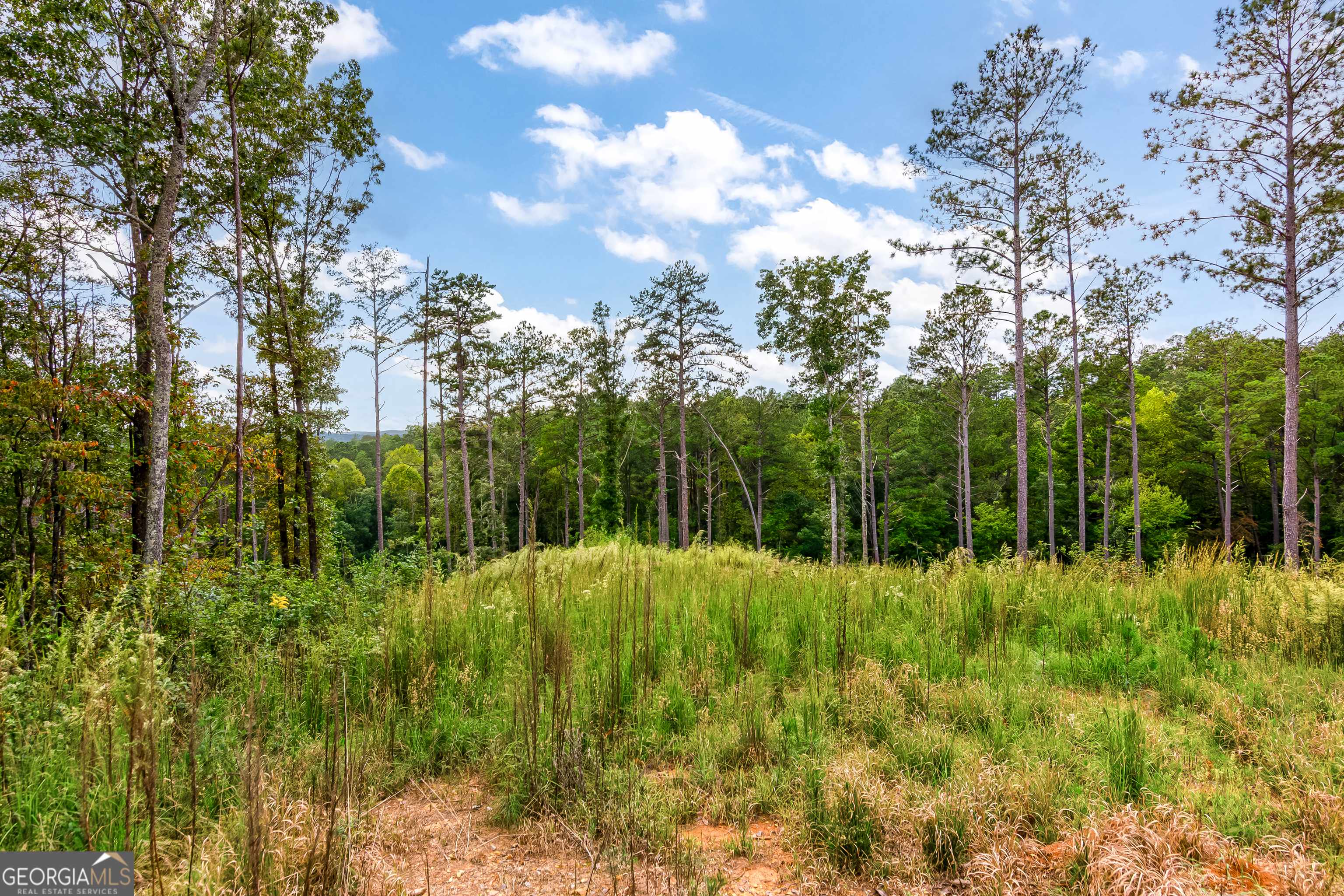 Talking Rock, GA 30175,LOT 92 Blalock Mountain Rd