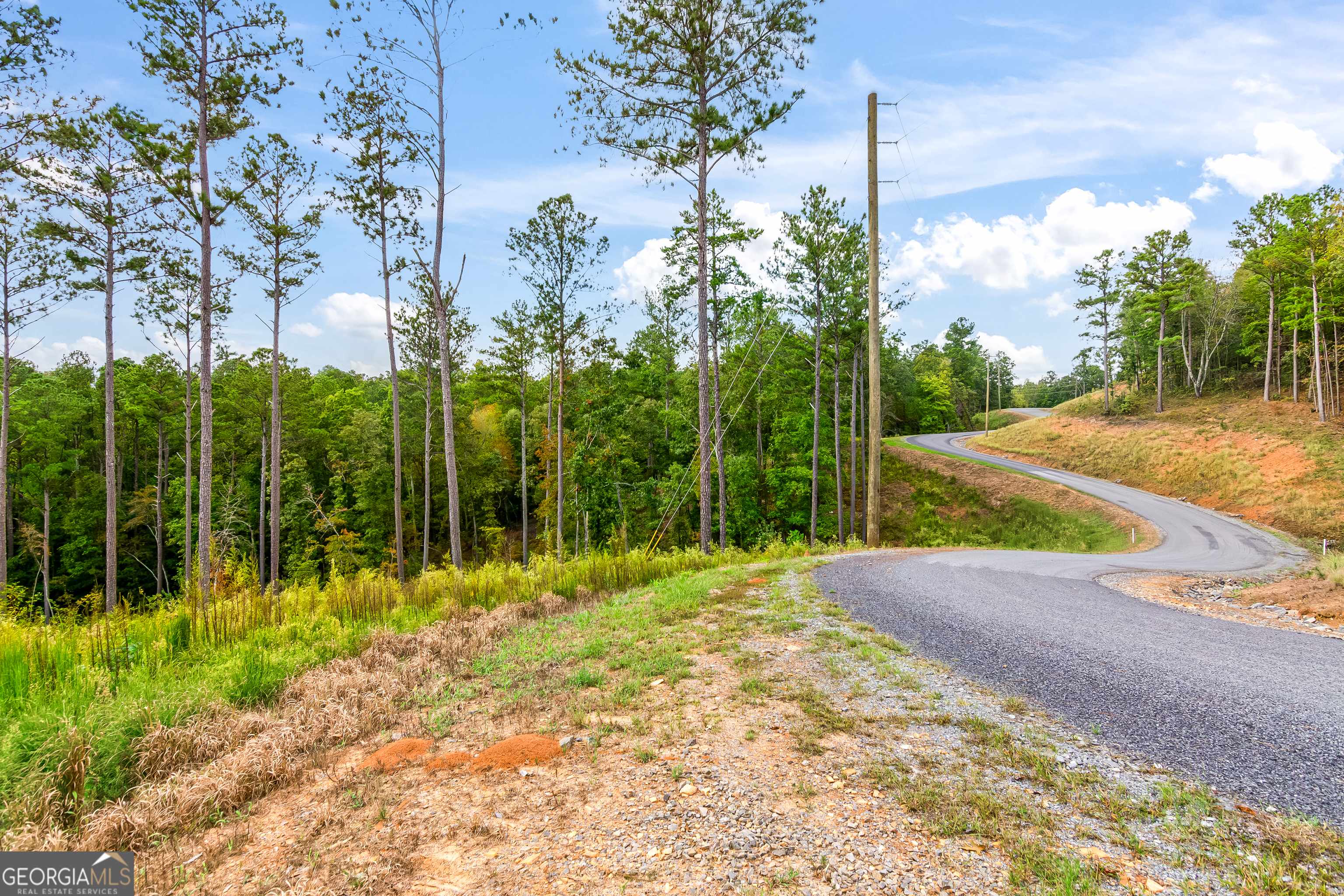 Talking Rock, GA 30175,LOT 92 Blalock Mountain RD
