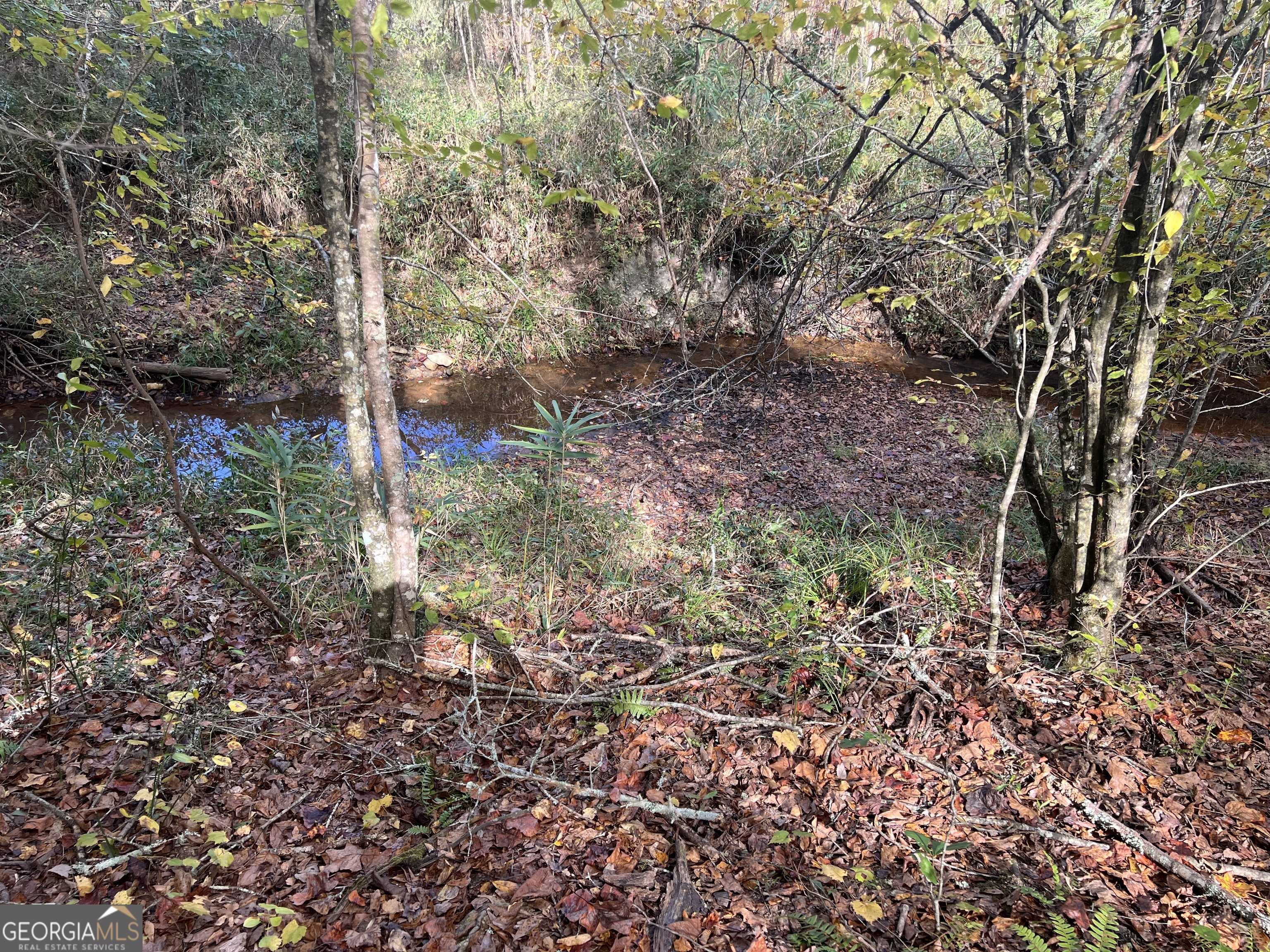 Franklin, GA 30217,0 South Bridge RD