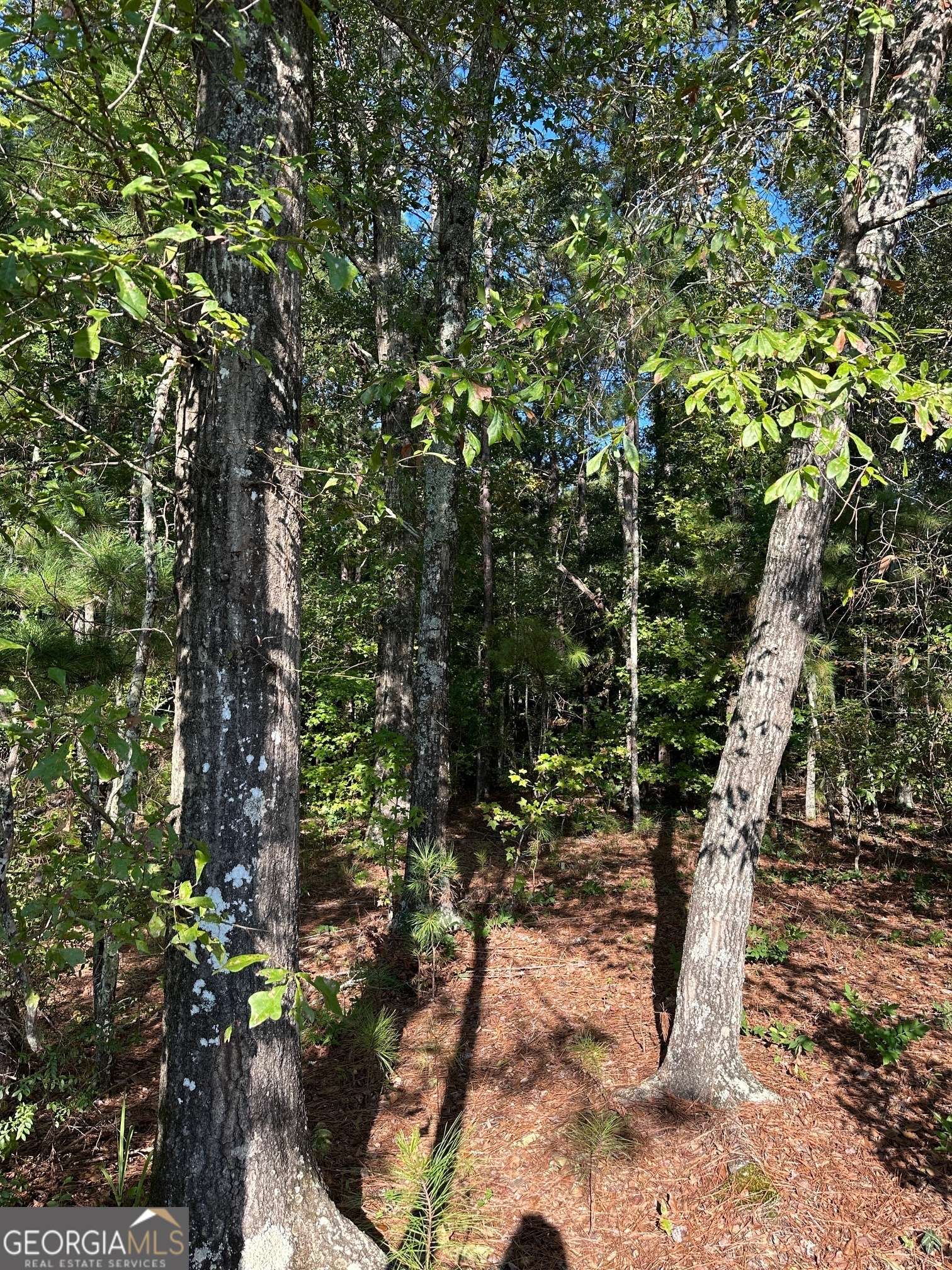 Waverly Hall, GA 31831,.32 AC Mistletoe Trail