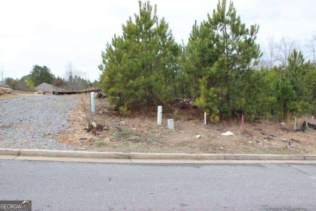 Woodstock, GA 30188,2 LOTS Village Chase