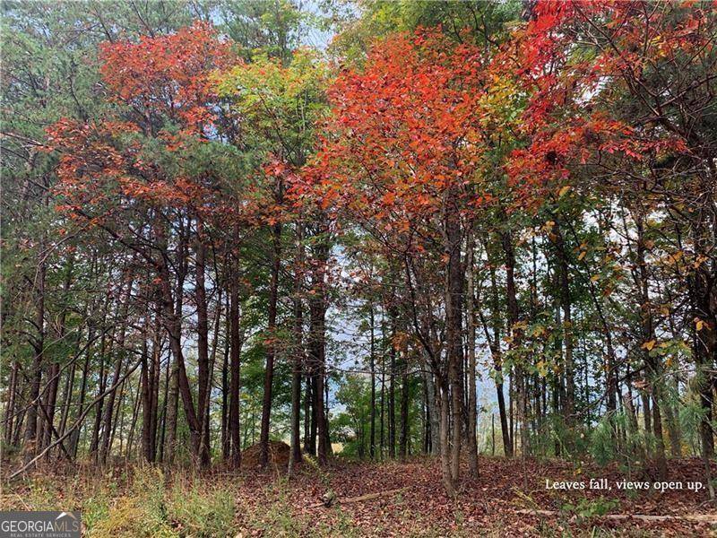 Ranger, GA 30734,1206 Jewel CT NE