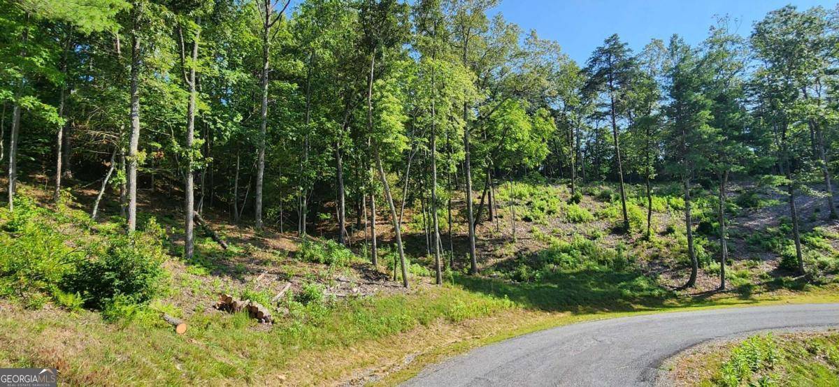 Mineral Bluff, GA 30559,LOT 6 Mountain Laurel Ridge