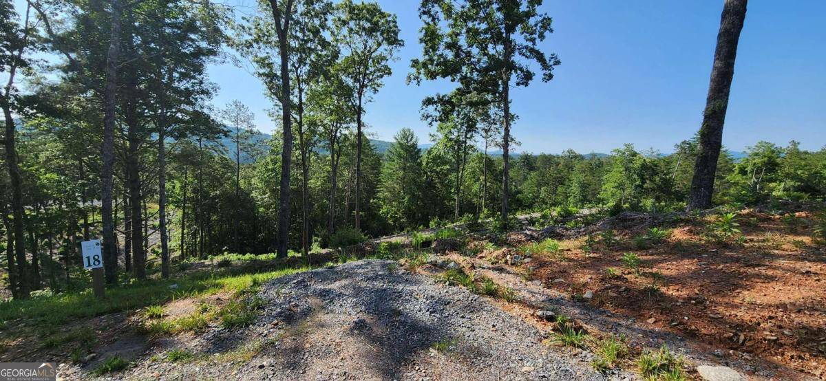 Mineral Bluff, GA 30559,LOT 18 Mountain Laurel Ridge