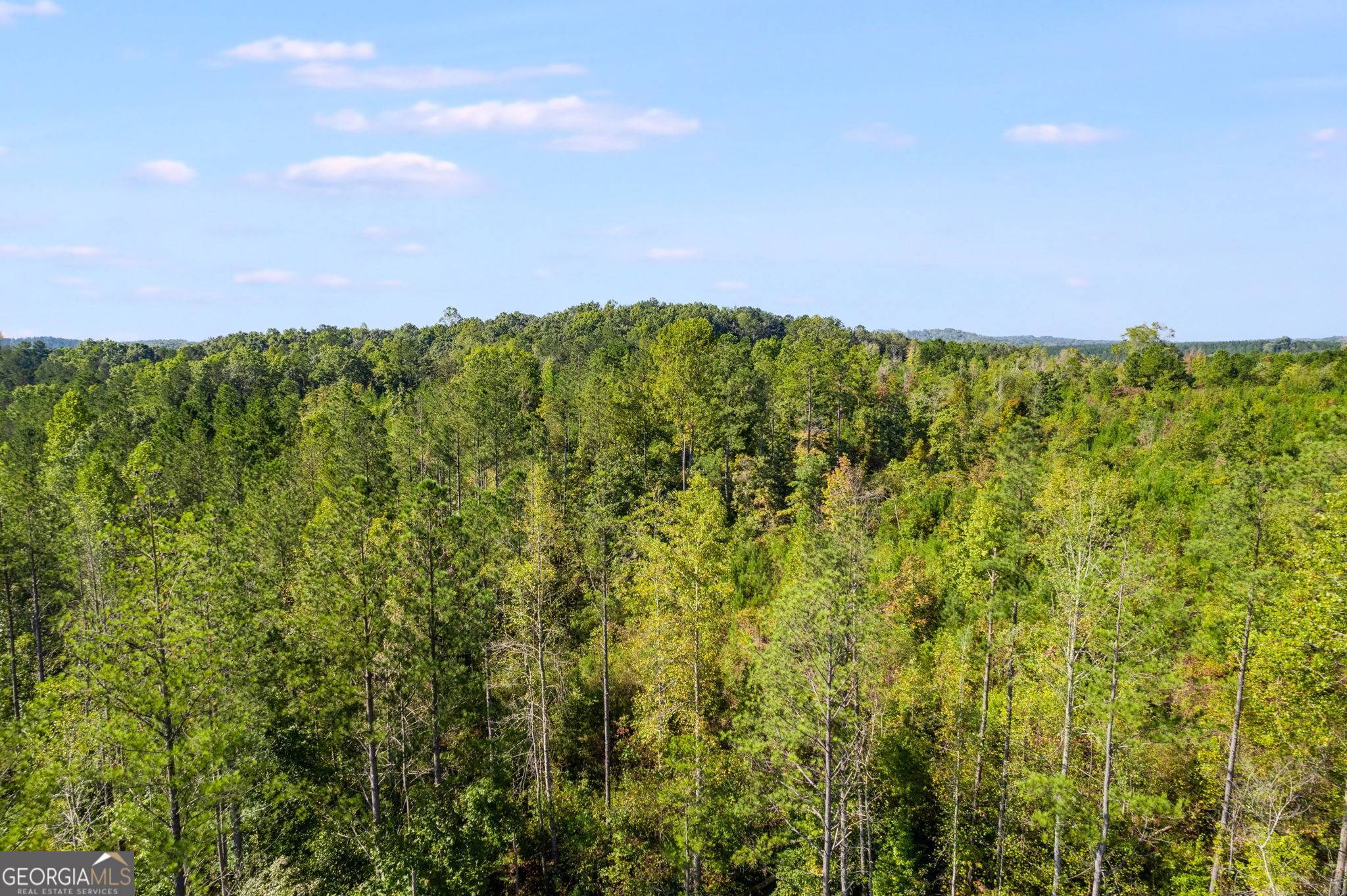 Muscadine, AL 36262,0 Highway 78