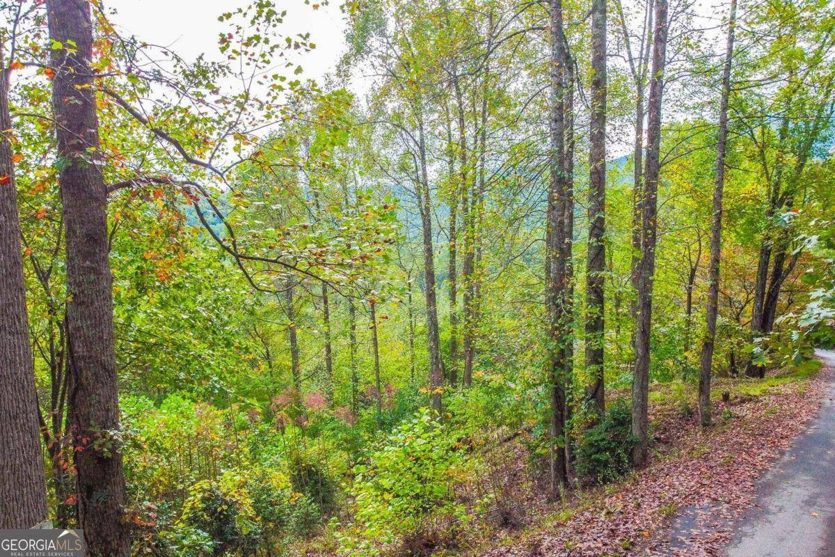 Hiawassee, GA 30546,0 Summit Trail