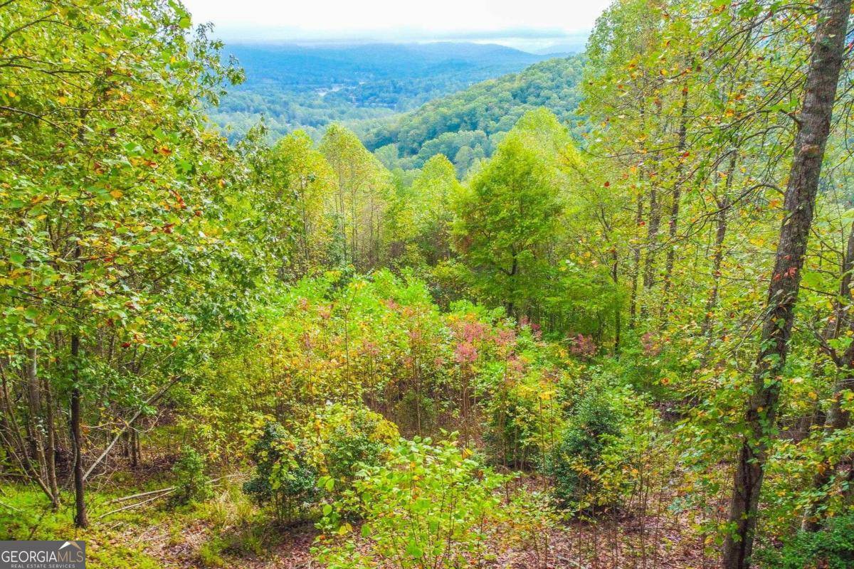 Hiawassee, GA 30546,0 Summit Trail