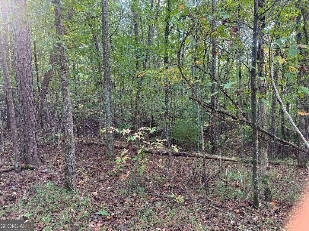 Talking Rock, GA 30175,0 Rebekah Ridge Lot 1714