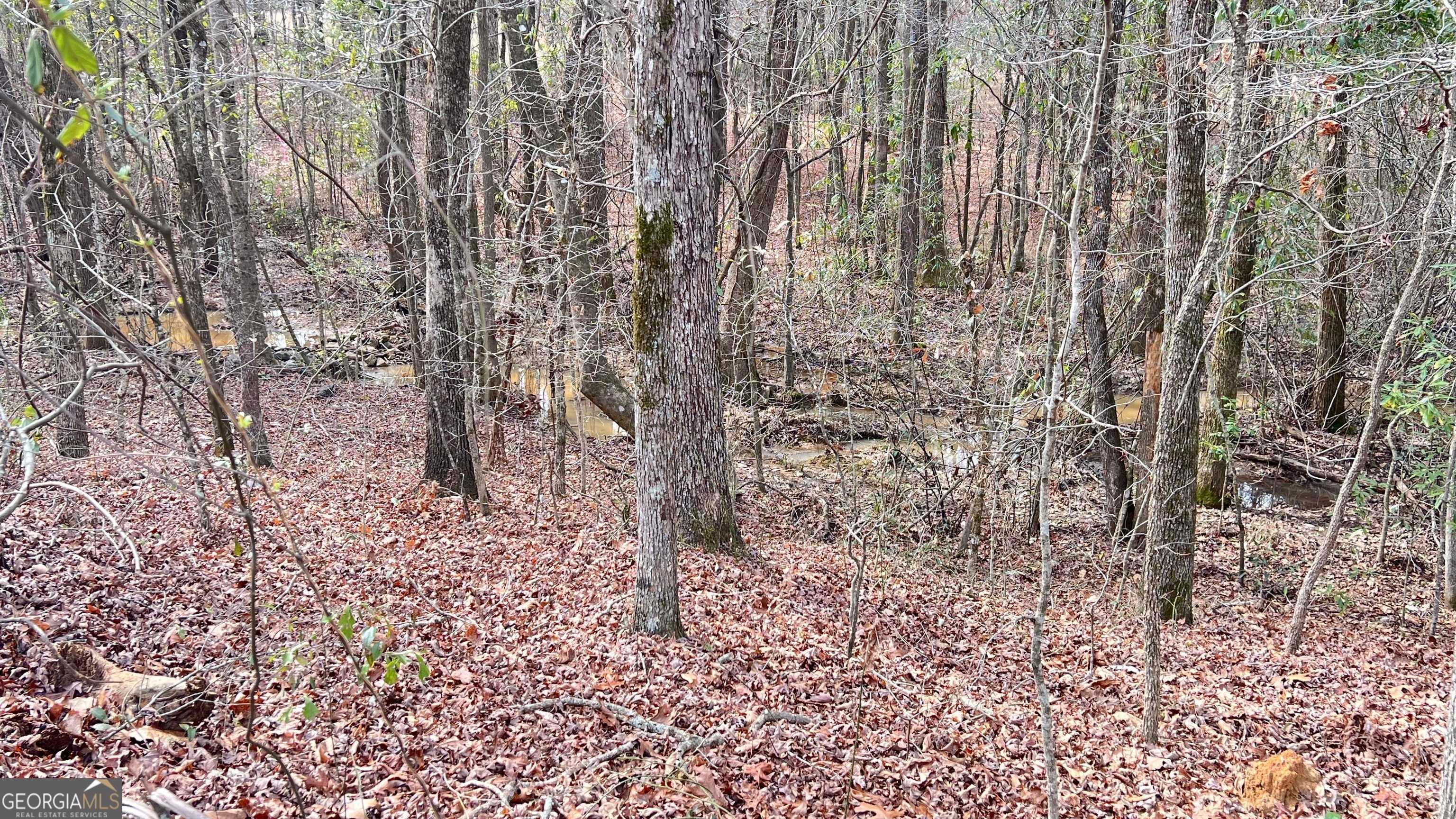 Barnesville, GA 30204,0 Needleleaf DR #LOT 4