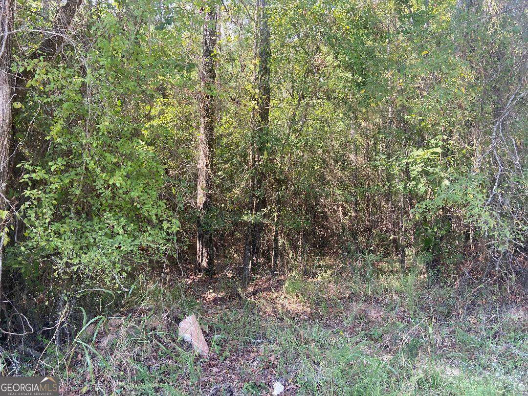 Crawfordville, GA 30631,00 Saggus Rd