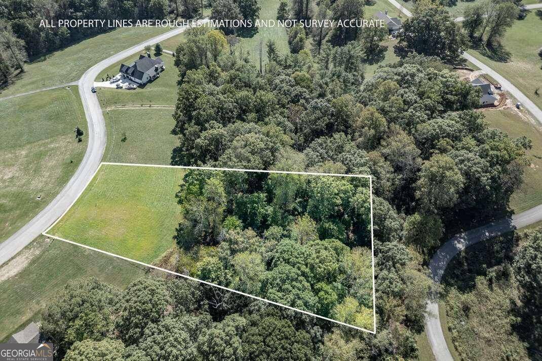 Blairsville, GA 30512,LOT 55 Cherrywood