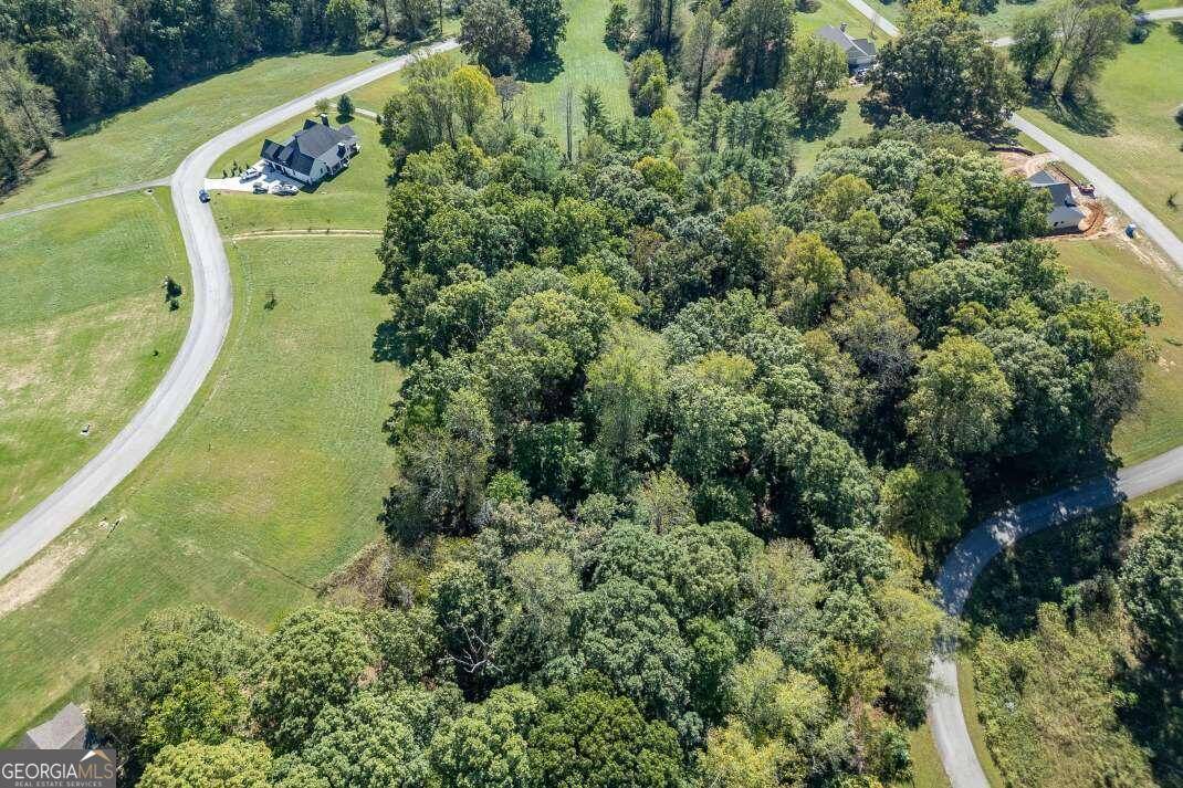 Blairsville, GA 30512,LOT 55 Cherrywood HL