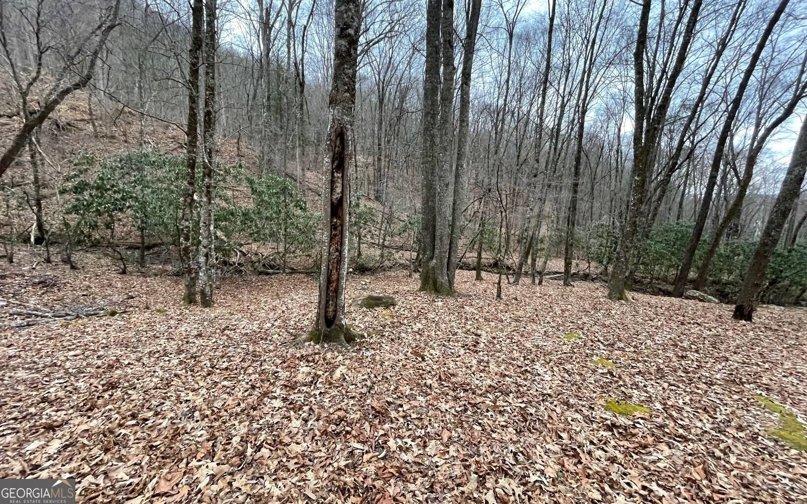 Hayesville, NC 28904,LOT 22 High Meadows