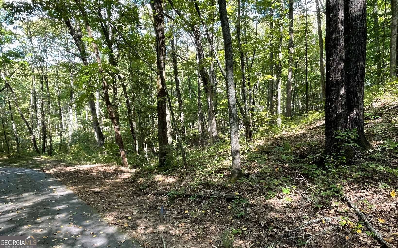 Hayesville, NC 28904,LOT 22 High Meadows