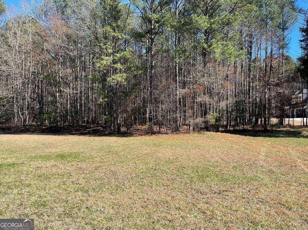 Rydal, GA 30171,15 Saratoga DR