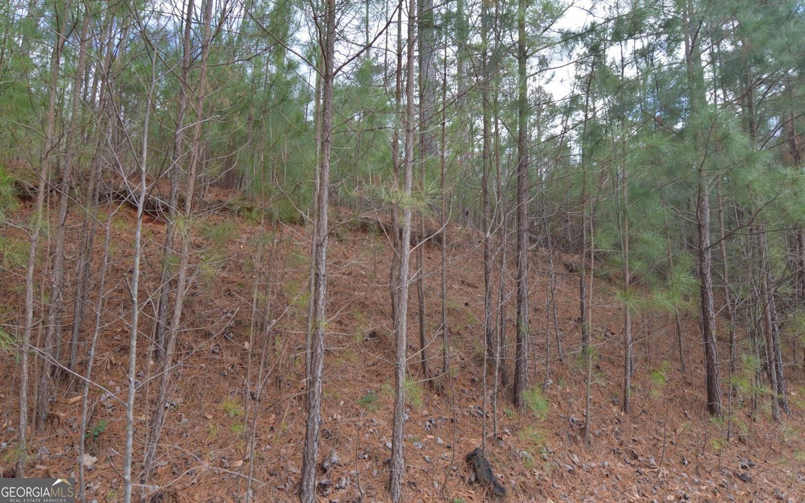 Young Harris, GA 30582,LOT 64 Meadow Brooke