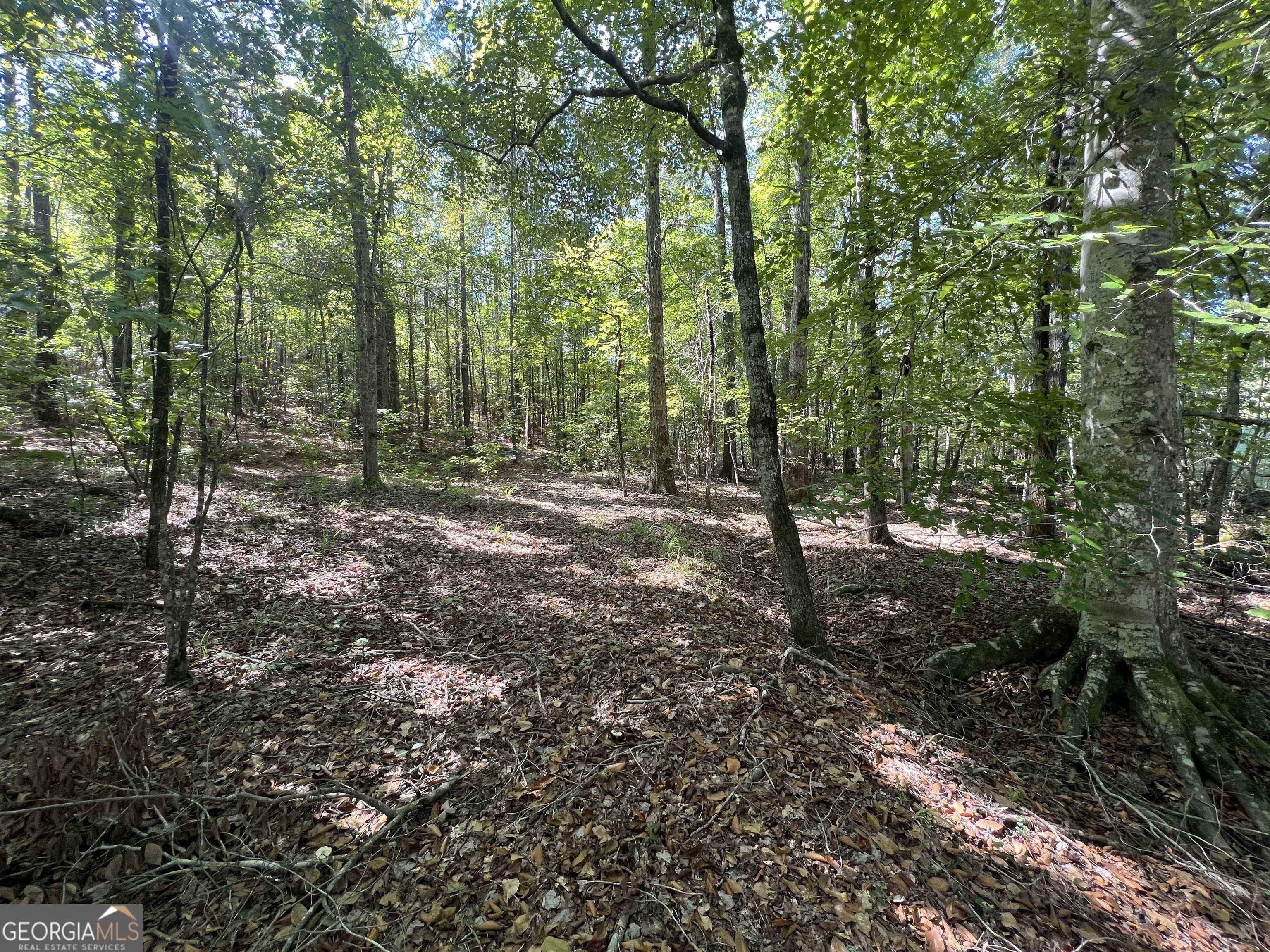 Salem, AL 36874,988 Lee Rd 332