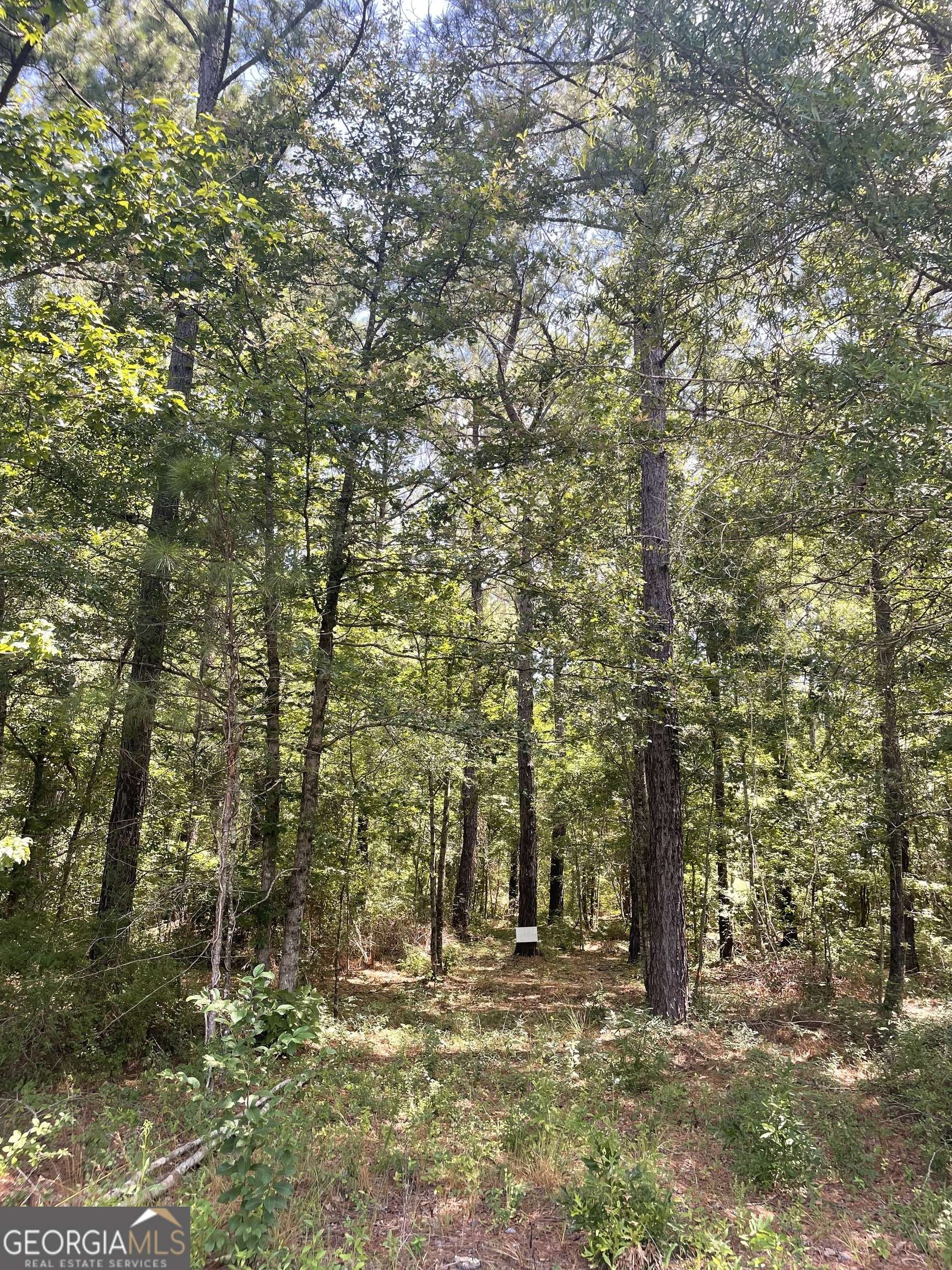 Dublin, GA 31021,0 Rock Springs RD #LOT 12