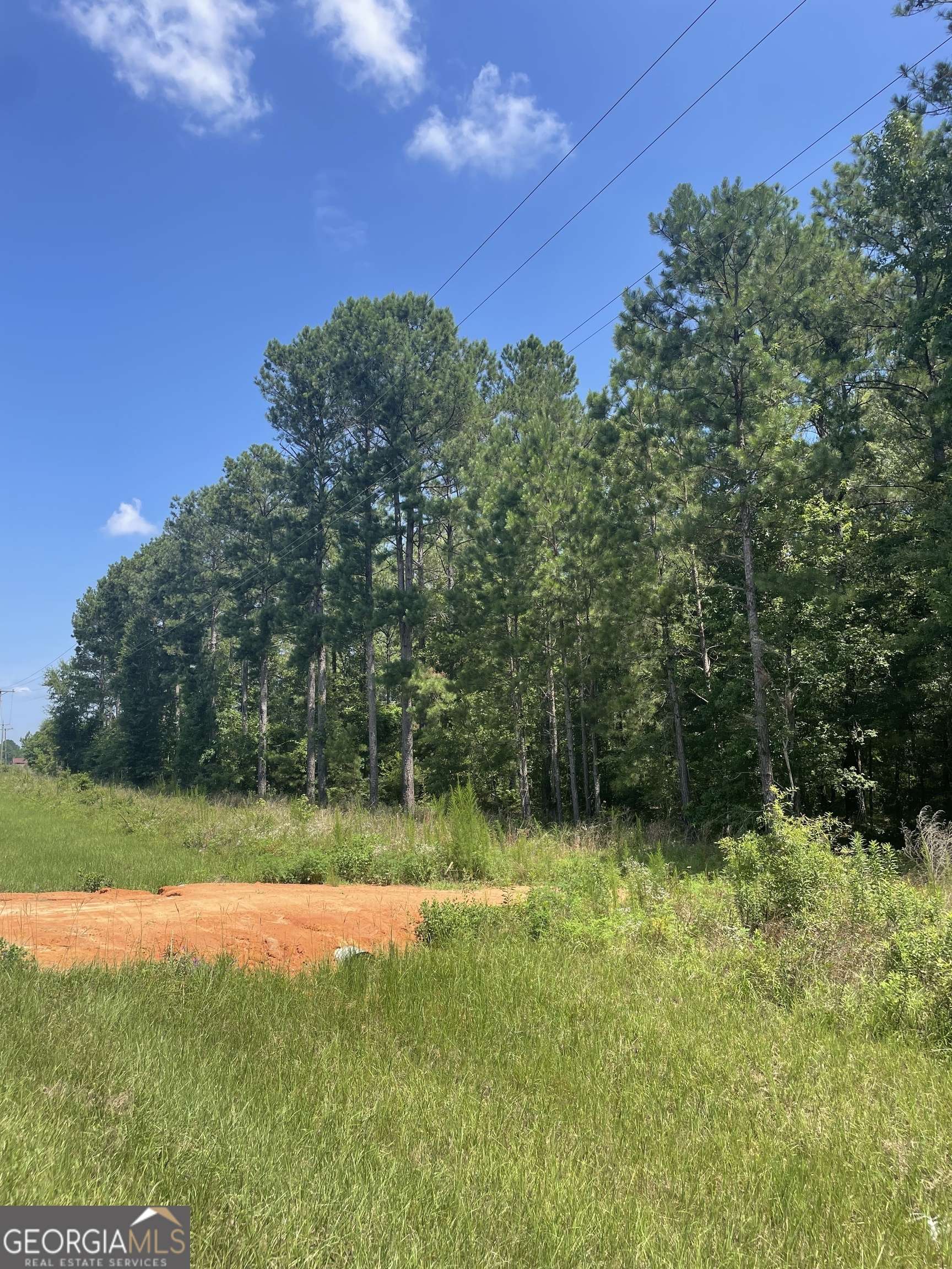 Dublin, GA 31021,0 Rock Springs RD #LOT 12