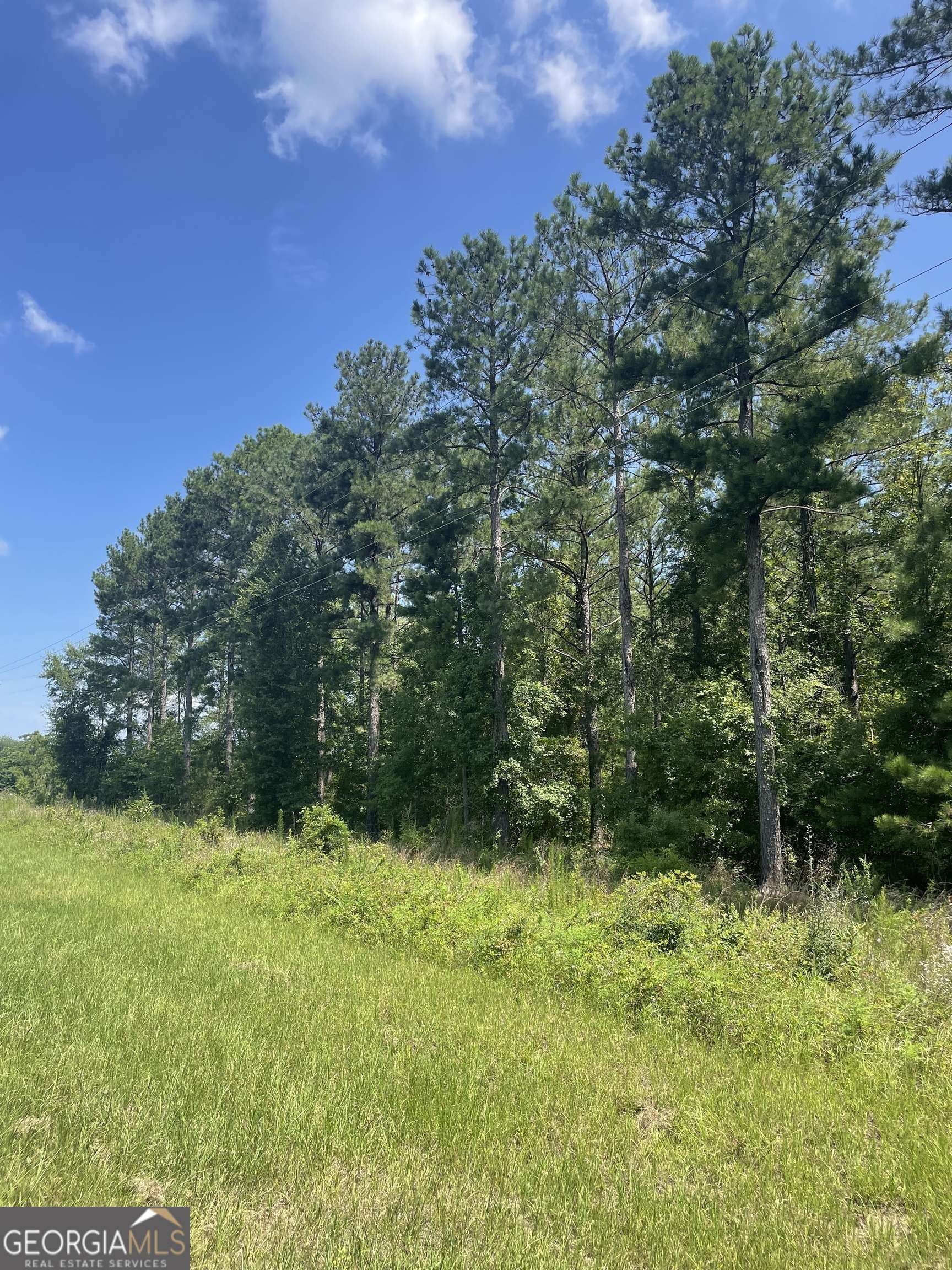 Dublin, GA 31021,0 Rock Springs RD #LOT 12