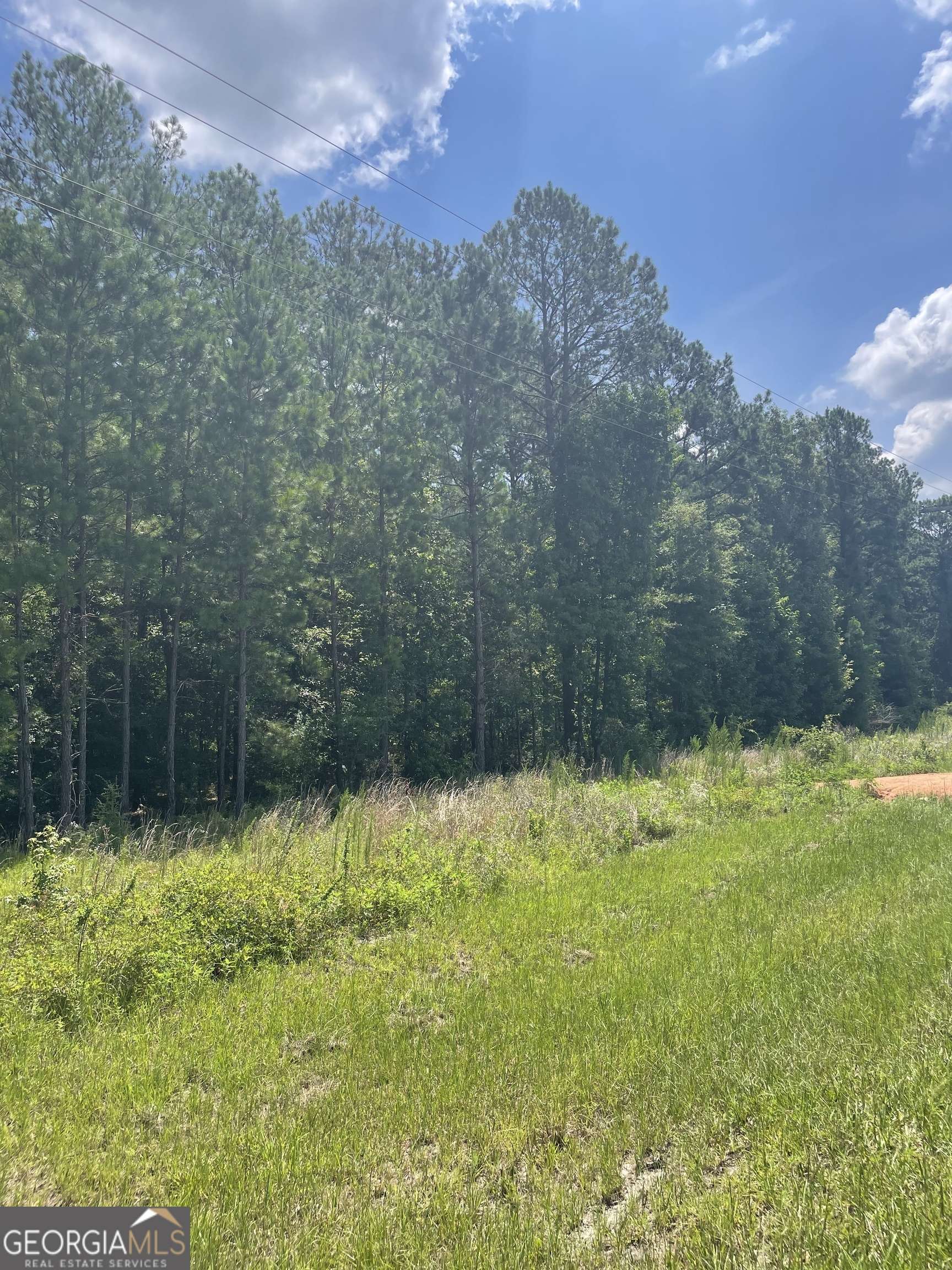 Dublin, GA 31021,0 Rock Springs RD #LOT 12