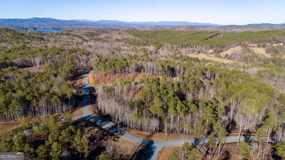 Talking Rock, GA 30175,LOT 120 High Hills Ct