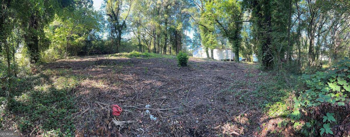 Atlanta, GA 30314,0 Webb Lot #00 AVE