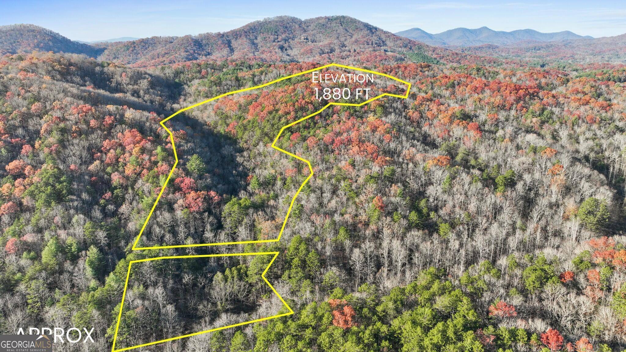 Mineral Bluff, GA 30559,0 Scots