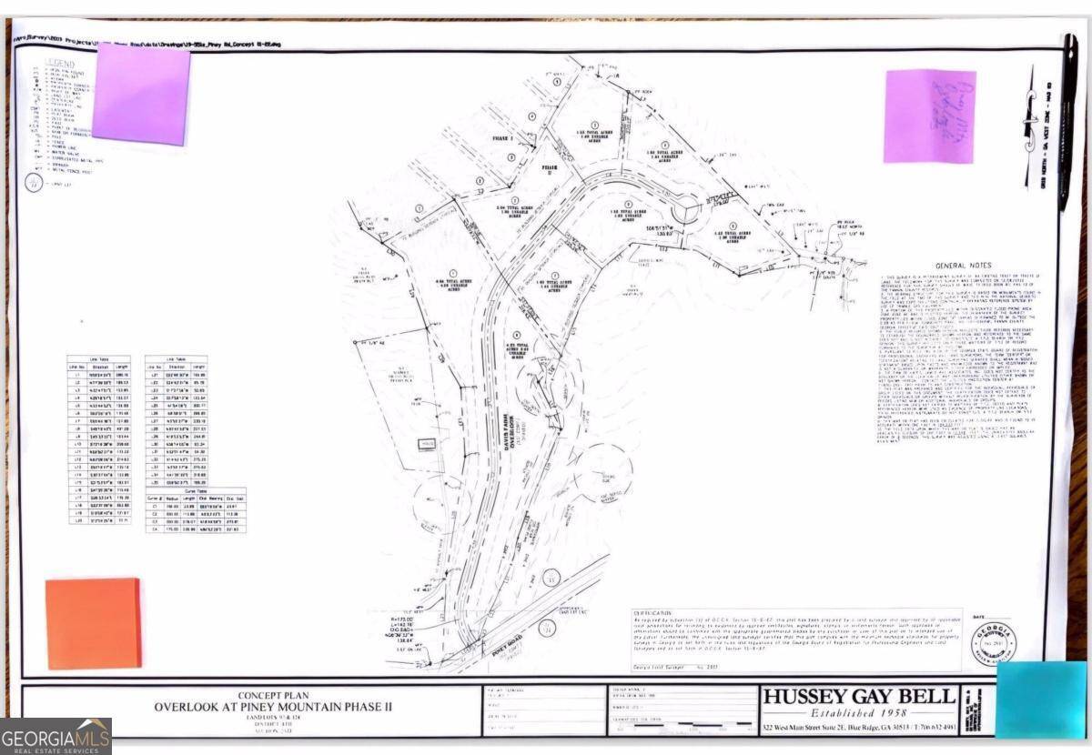 Mineral Bluff, GA 30559,0 Piney RD