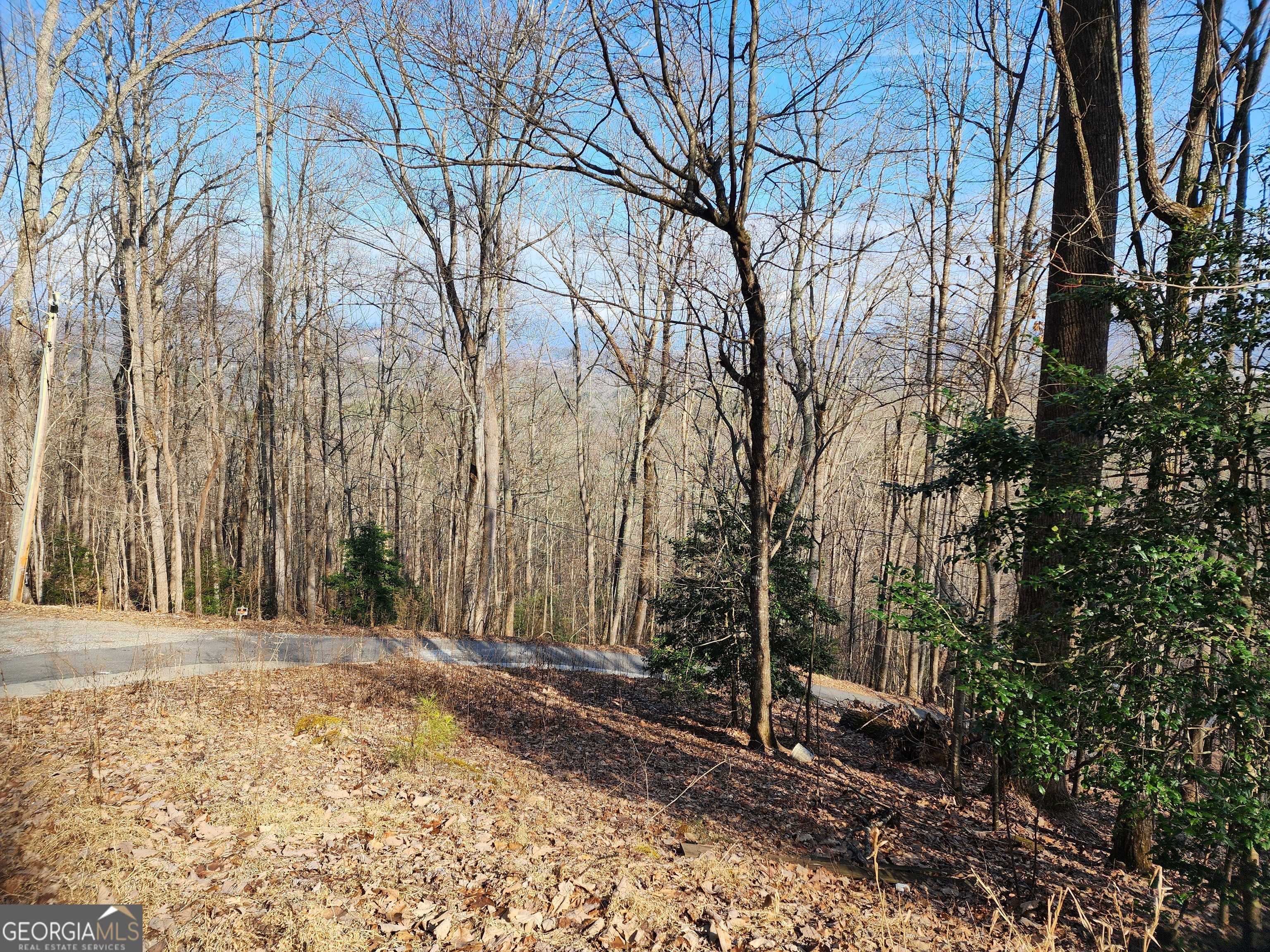 Young Harris, GA 30582,LOT 27 True Love Mountain RD