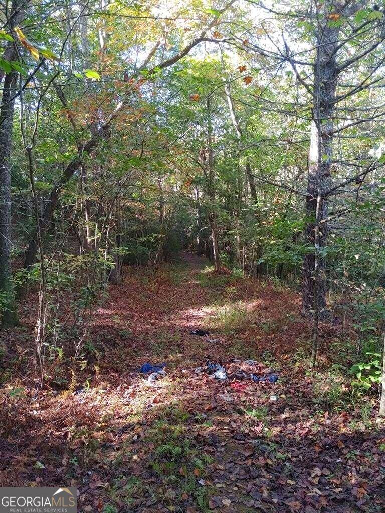 Mineral Bluff, GA 30559,0 Kaleb