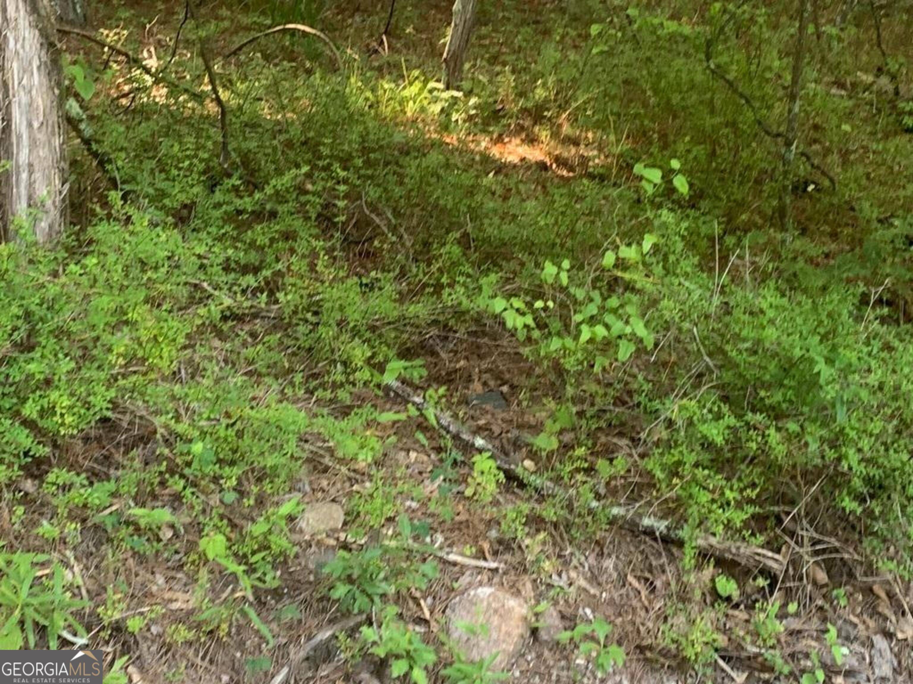 Fayetteville, GA 30215,E OF 246 MATTHE E of 246 Matthews RD #TRACT A 5 ACRES