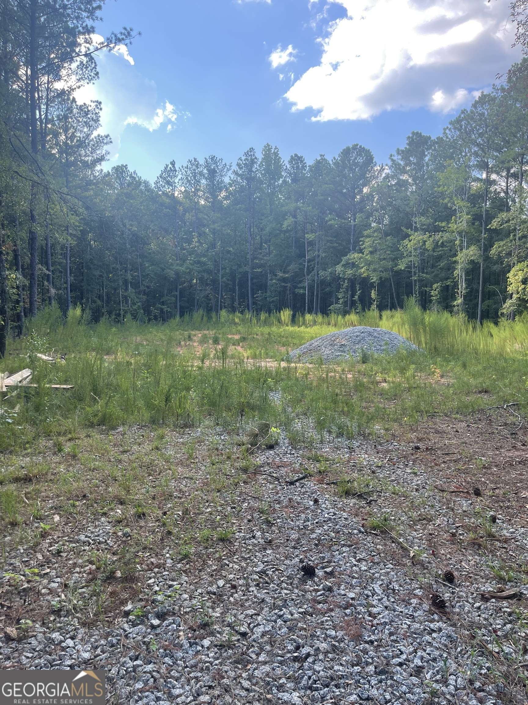 Moreland, GA 30259,LOT 3 Cecil Hunter Rd