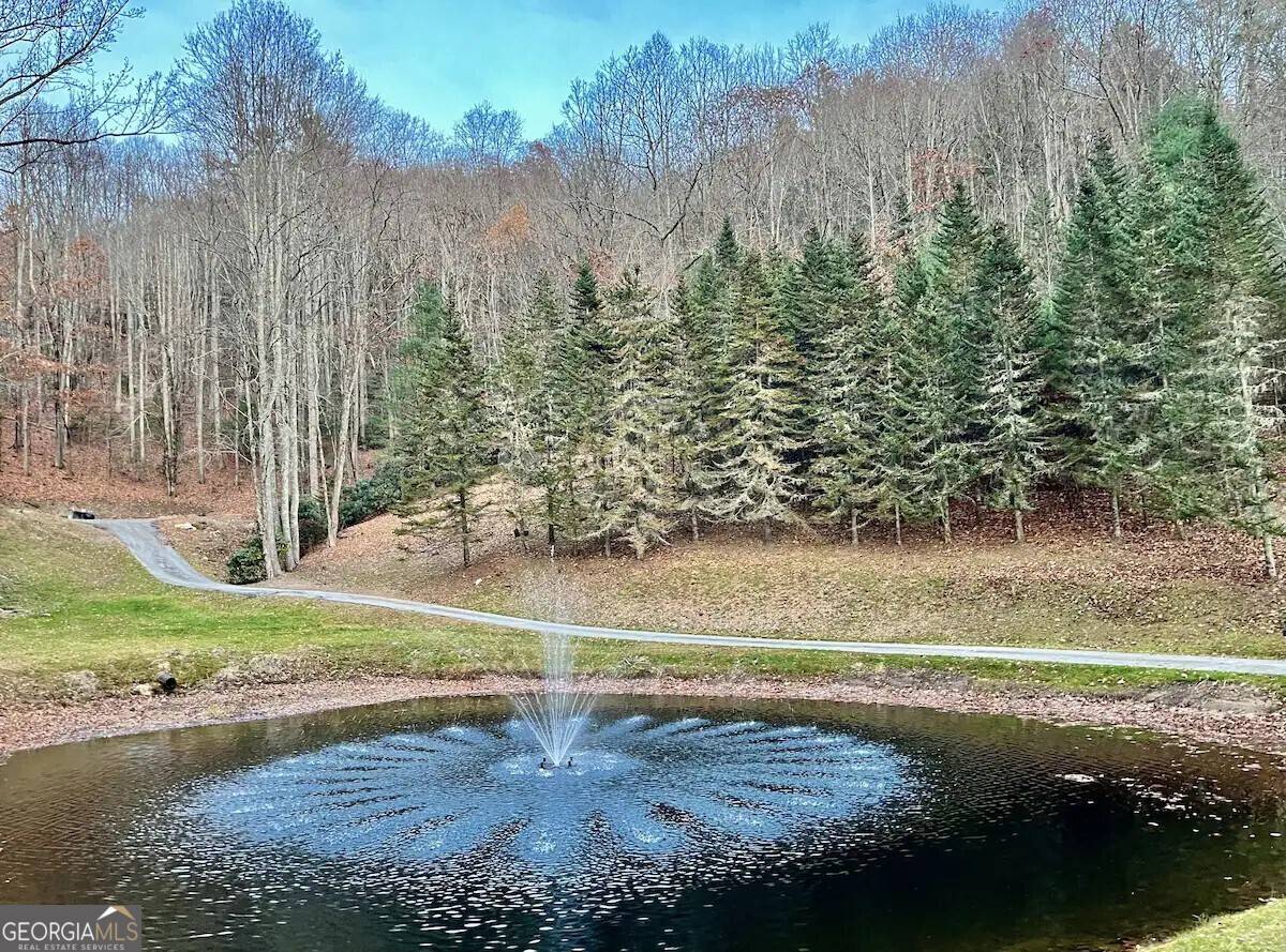 Scaly Mtn, NC 28775,73 Peek and Peak LN