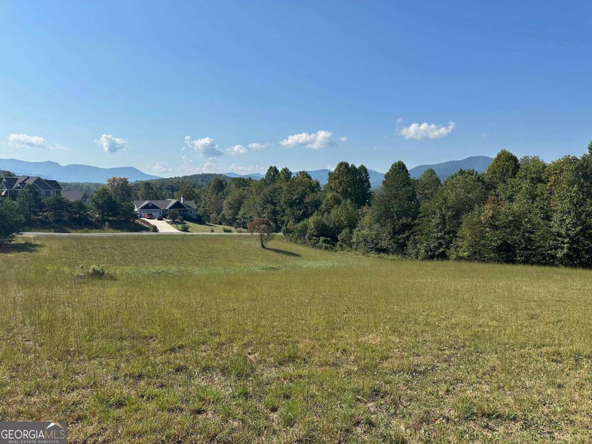 Young Harris, GA 30582,LOT 51 The Preserve Ar Cc