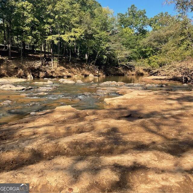 Roberta, GA 31078,80+/- ACRES Reeves