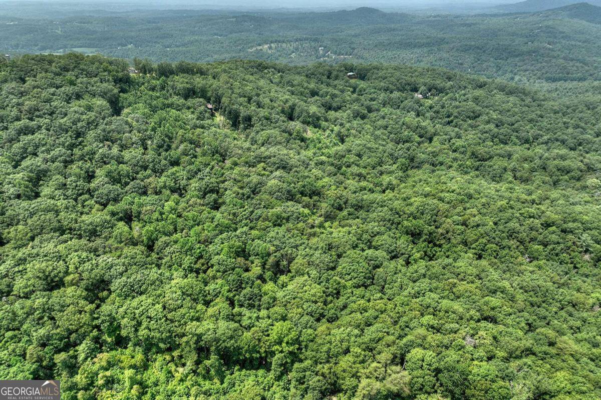 Mineral Bluff, GA 30559,7.89 AC Laurel Springs