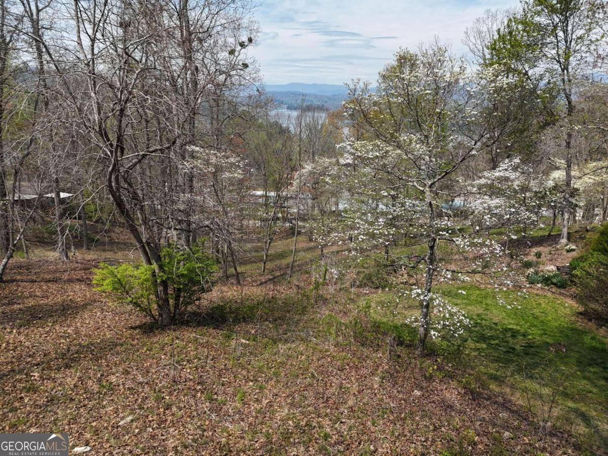 Hayesville, NC 28904,LOT 12 Chatuge Cove