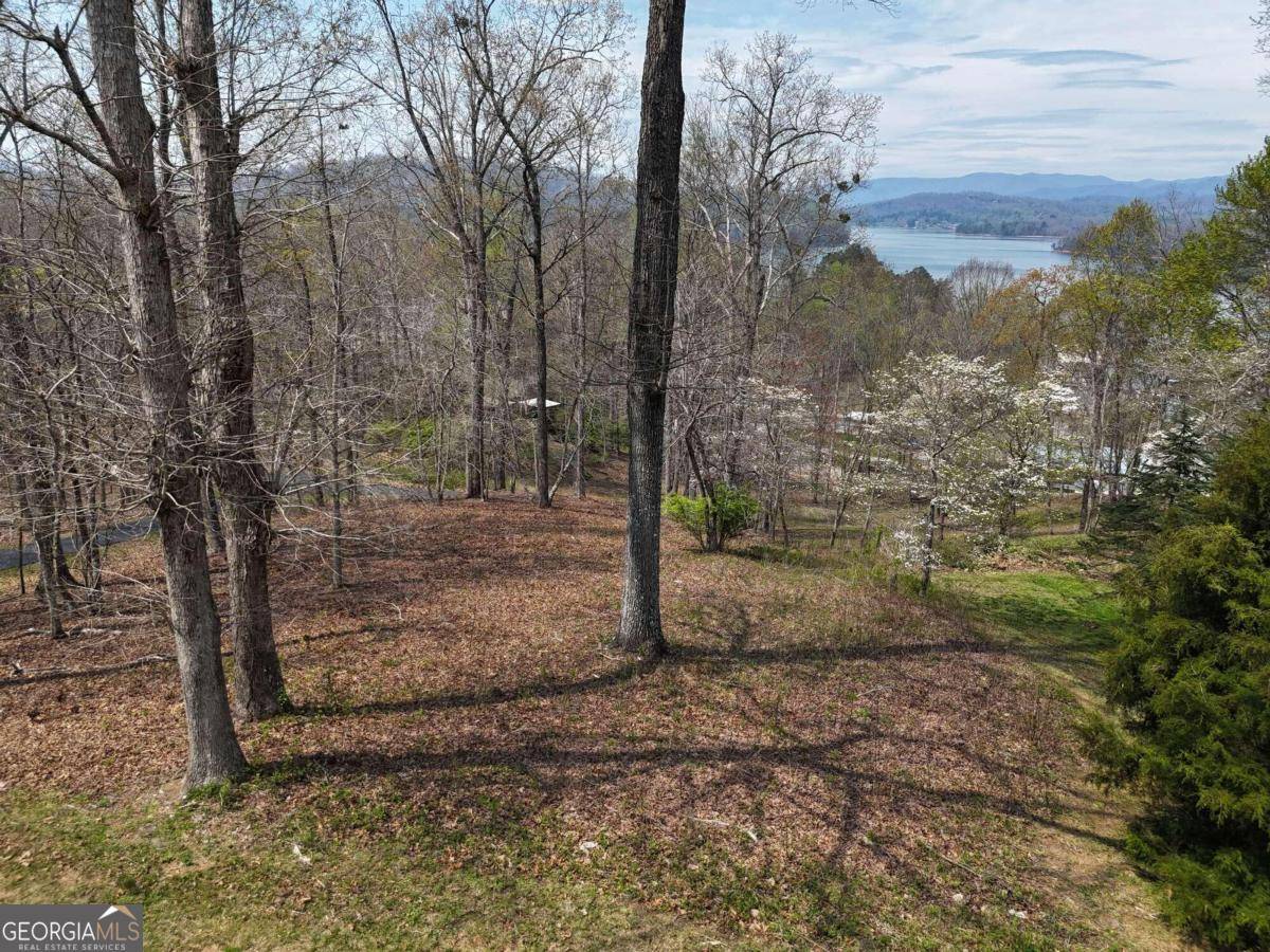 Hayesville, NC 28904,LOT 12 Chatuge Cove