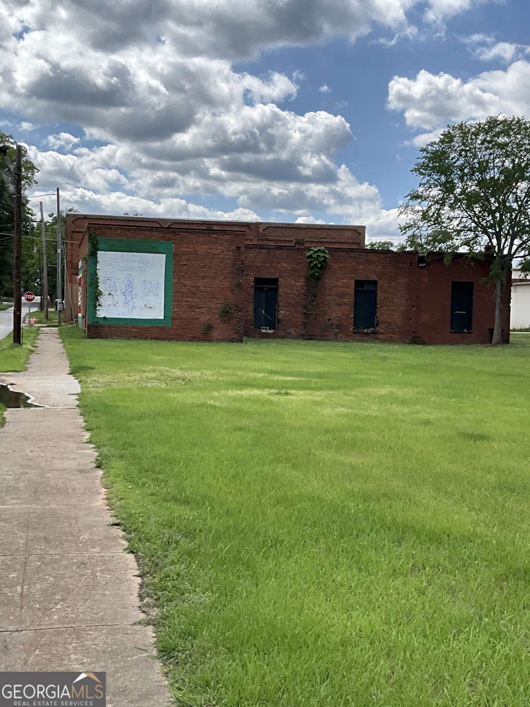 Washington, GA 30673,113 Depot