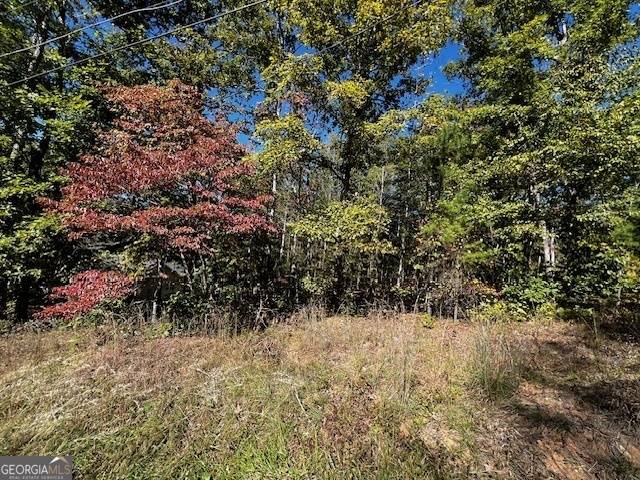Clarkesville, GA 30523,LOT 20 Eden Woods