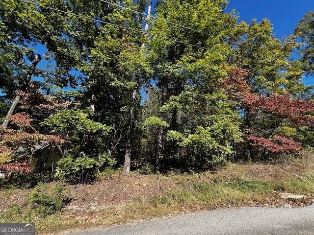 Clarkesville, GA 30523,LOT 20 Eden Woods