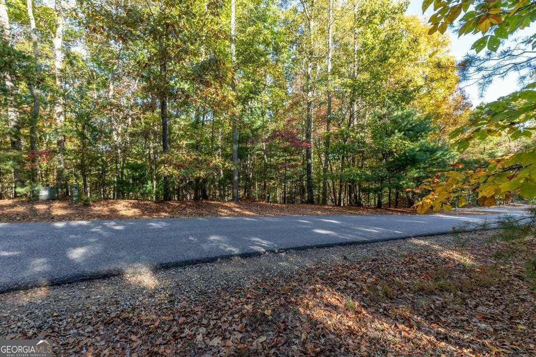 Blairsville, GA 30512,LOT 4 Mountainside