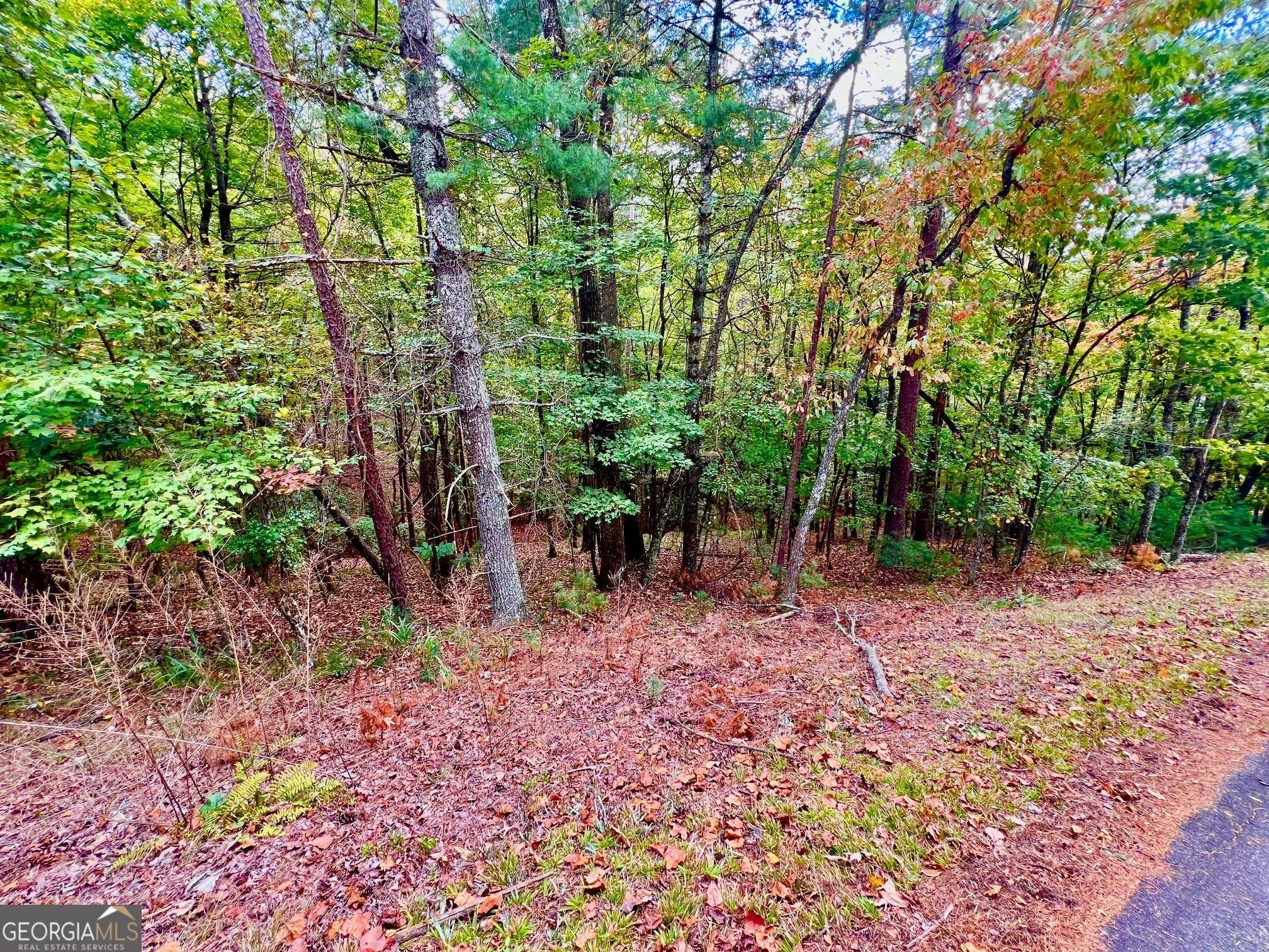 Ellijay, GA 30540,577 Tonto